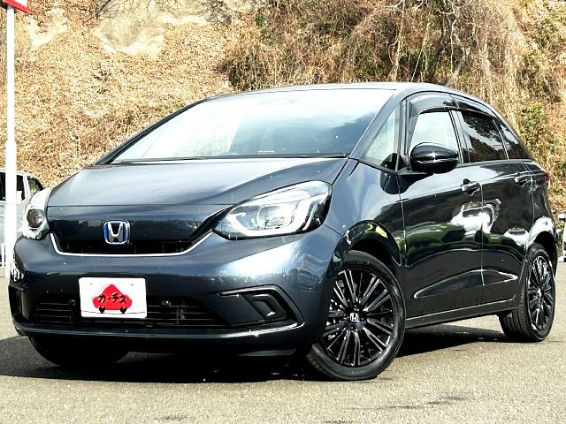 -FIT HYBRID