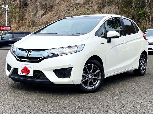 -FIT HYBRID