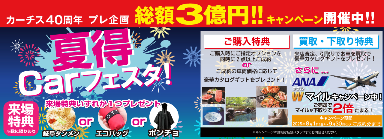Summer fes 2025 2
