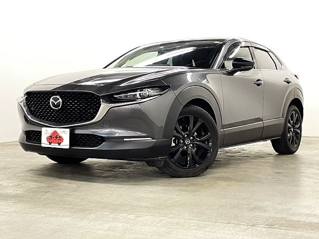 ＣＸ－３０